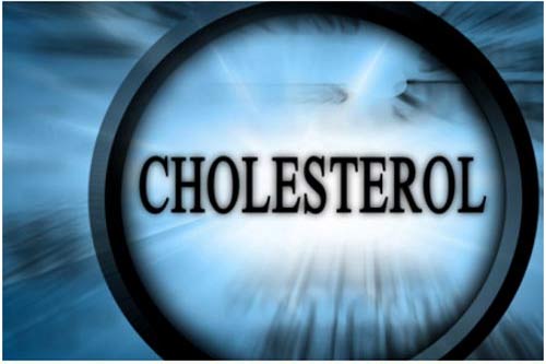 Pengertian Kolesterol 