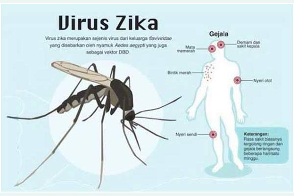 Wabah Virus Zika