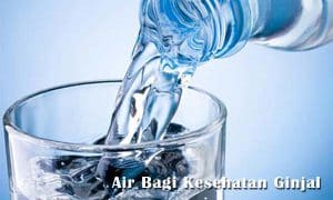 air untuk kesehatan ginjal