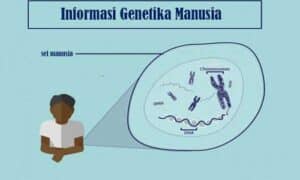 Informasi Genetika Manusia