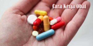 Cara Kerja Obat