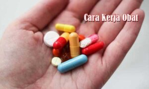 Cara Kerja Obat