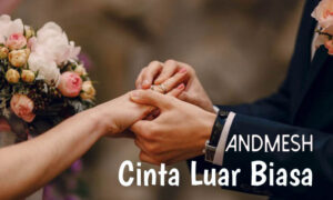 cinta luar biasa andmesh kamaleng