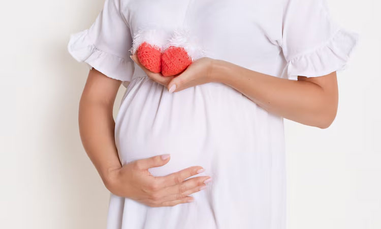 Ibu Hamil Trimester Pertama