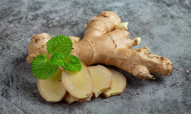 Manfaat Jahe Untuk Kesehatan Tubuh